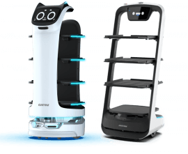 BELLABOT e PUDUBOT